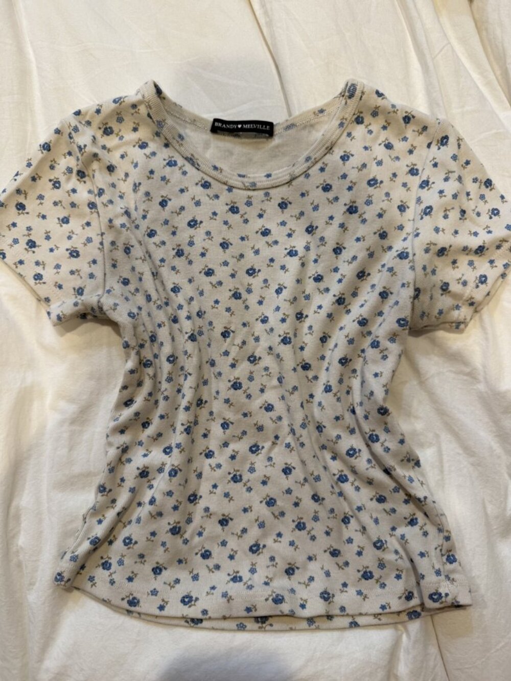 Brandy Melville White Blue Floral Baby Tee